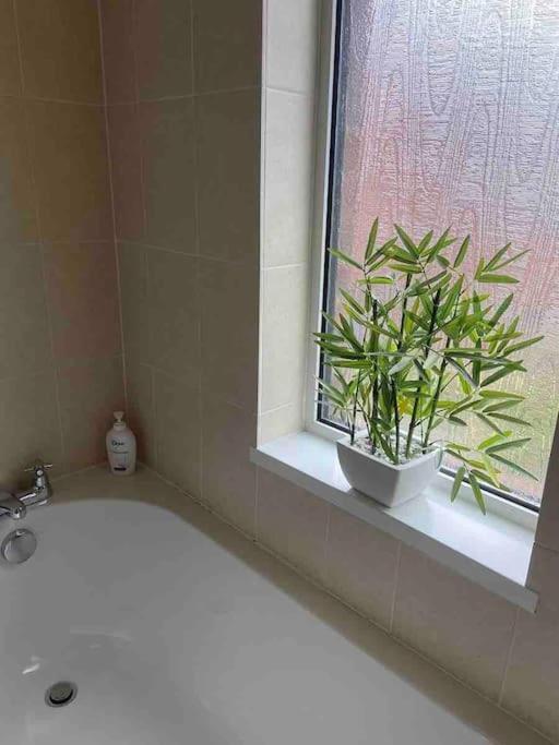 Вілла 2 Bed Sleeps 6 Beach Retreat St Annes On Sea Літам-Сент-Еннс Екстер'єр фото